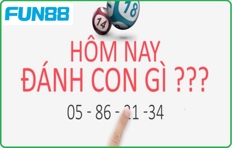 Cách soi những con 3 càng siêu may mắn