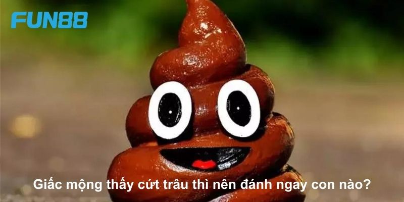 Chiêm bao cứt trâu