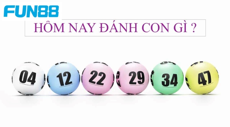 Tổng hợp các cách soi con 3 càng chi tiết, hiệu quả 