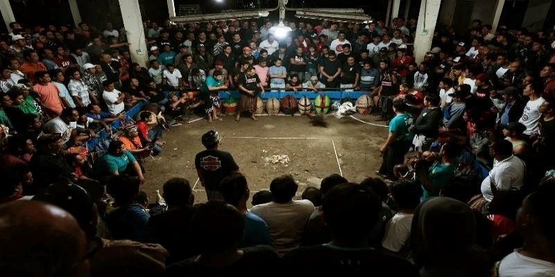 trận đá gà 24 tỷ