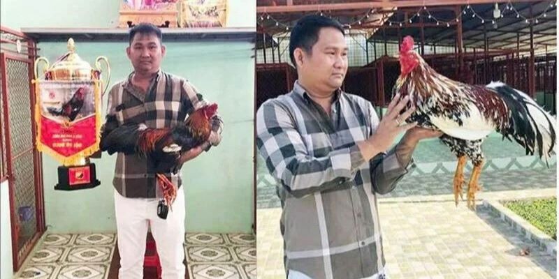 trận đá gà 24 tỷ