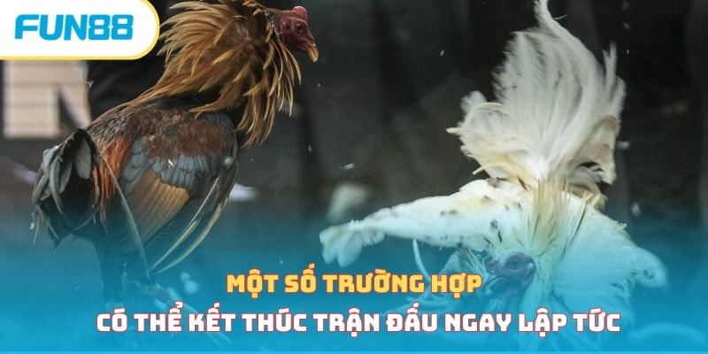 Một số trường hợp có thể kết thúc trận đấu ngay lập tức 