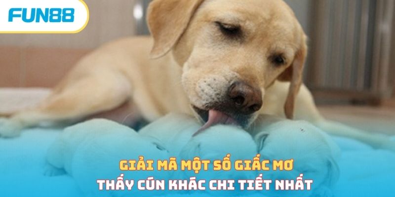 Giải mã một số giấc mơ thấy cún khác chi tiết nhất 