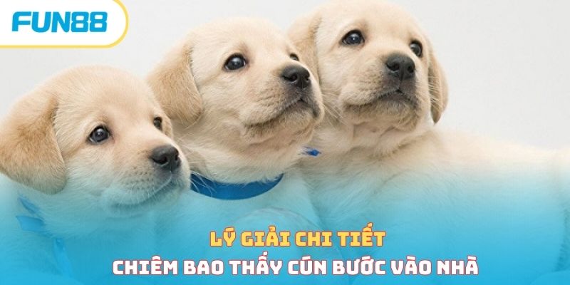 Lý giải chi tiết chiêm bao thấy cún bước vào nhà 