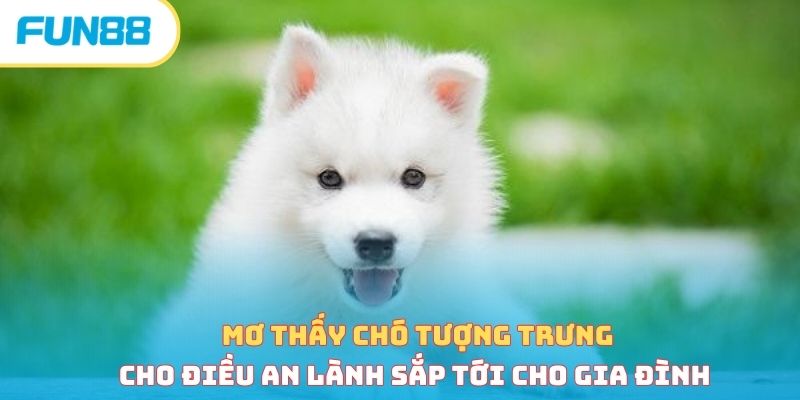 Mơ thấy chó tượng trưng cho điều an lành sắp tới cho gia đình 