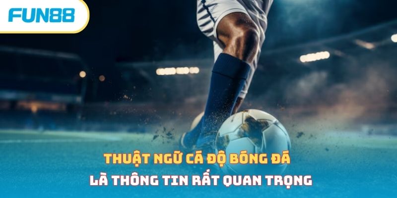 Thuật ngữ cá độ bóng đá là thông tin rất quan trọng 
