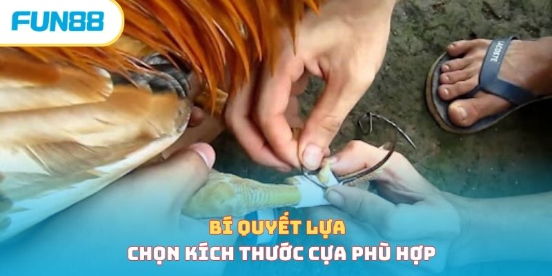 Bí quyết lựa chọn kích thước cựa phù hợp 