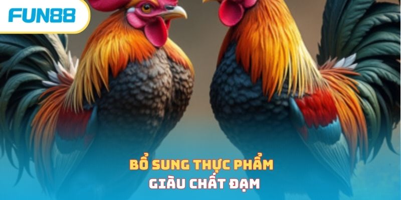 Bổ sung thực phẩm giàu chất đạm 