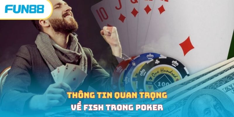 Thông tin quan trọng về fish trong poker 