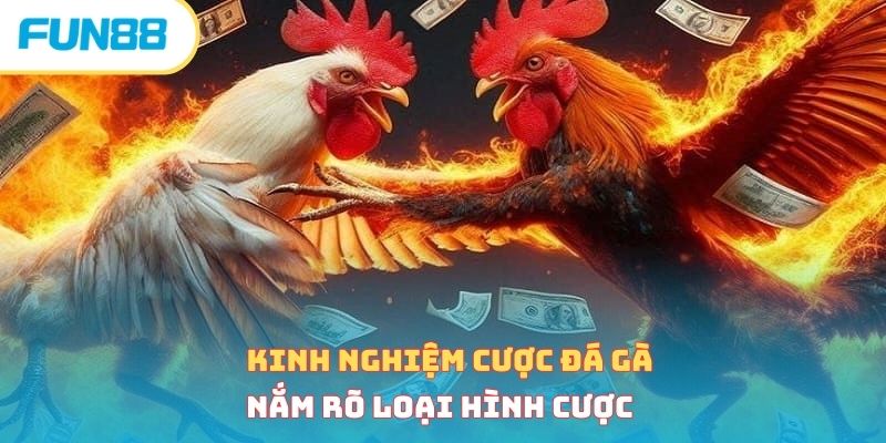 Kinh nghiệm cược đá gà - Nắm rõ loại hình cược 