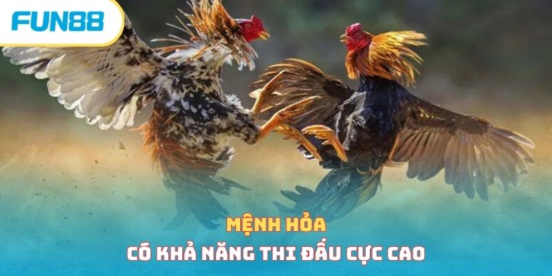 Mệnh Hỏa có khả năng thi đấu cực cao 