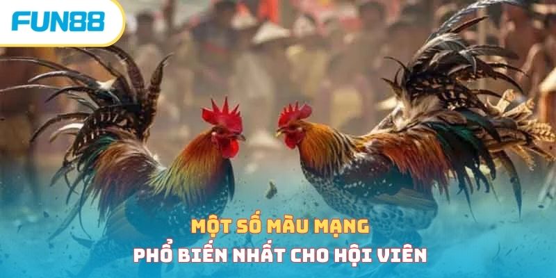 Một số màu mạng phổ biến nhất cho hội viên 