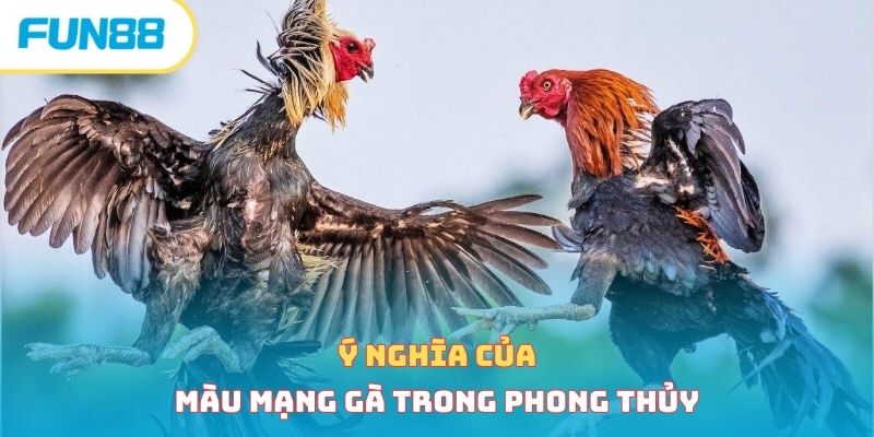 Ý nghĩa của màu mạng gà trong phong thủy 