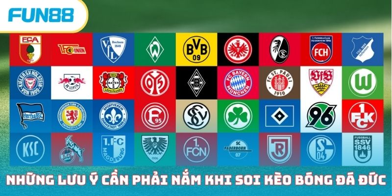 Hướng dẫn soi kèo bóng đá Đức như một chuyên gia