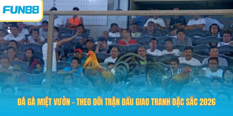 đá gà miệt vườn